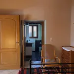 Apartment Sophia's Stone House Dimitsana