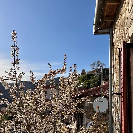 Sophia's Stone House Apartment *